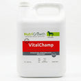 Load image into Gallery viewer, VitalChamp™ Horse Electrolyte & Recovery Supplement | Hydration & Energy Support