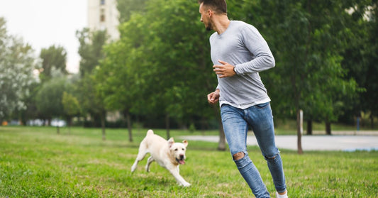 Dog running with his owner