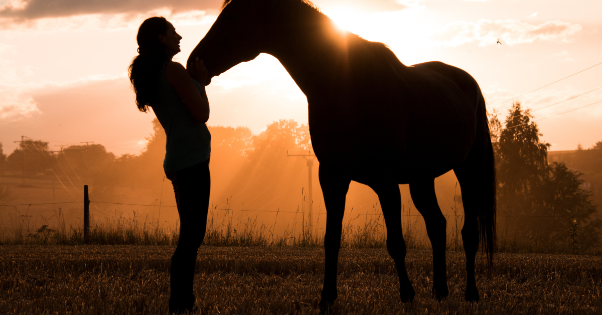Horse with owner