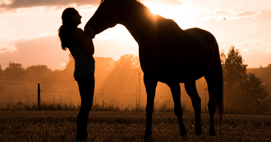 Horse with owner
