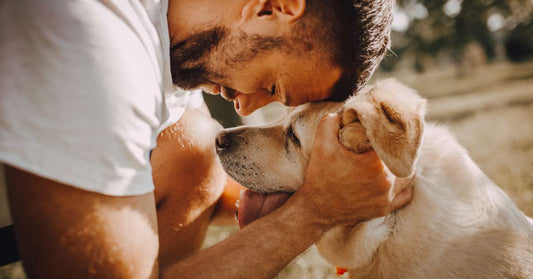Man with dog⁠