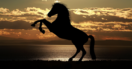 Prancing Horse Silhouette