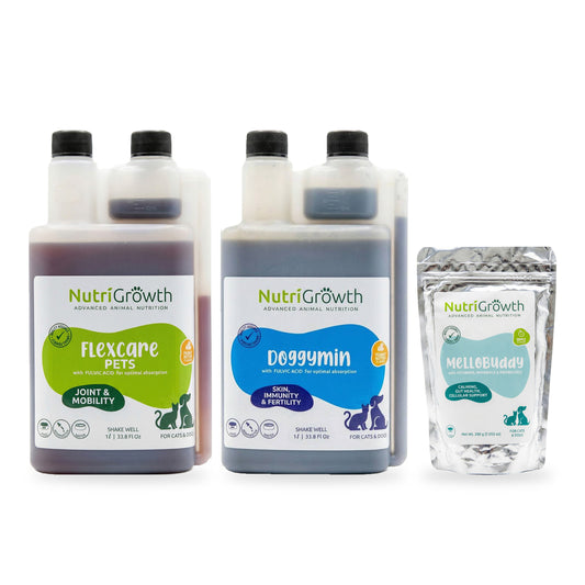 FlexCare and DoggyMin Daily Wellness Combo