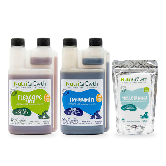 FlexCare and DoggyMin Daily Wellness Combo