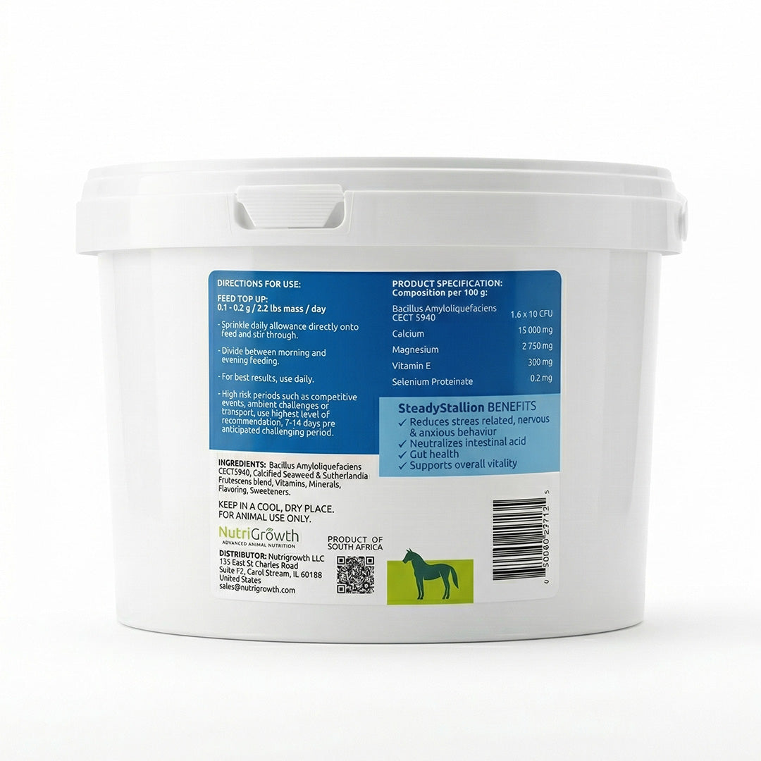 SteadyStallion – Advanced Equine Stress & Gut Support