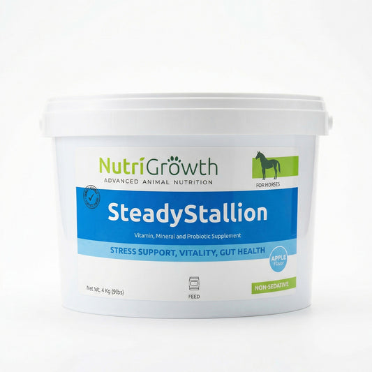 SteadyStallion – Advanced Equine Stress & Gut Support