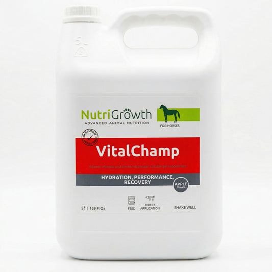 VitalChamp – Advanced Hydration, Energy & Recovery for Horses